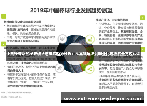 中国棒球联盟发展现状与未来趋势分析：从基础建设到职业化进程的全方位解读