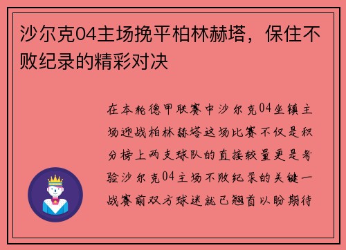 沙尔克04主场挽平柏林赫塔，保住不败纪录的精彩对决